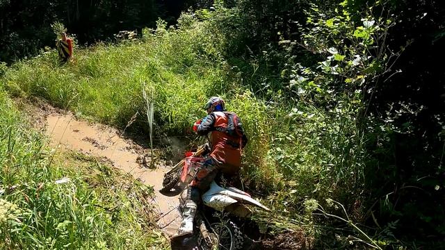 Эндуро | Suzuki djebel и другие мото по Заброшенной Лесовозке | Проедут не все смотреть онлайн