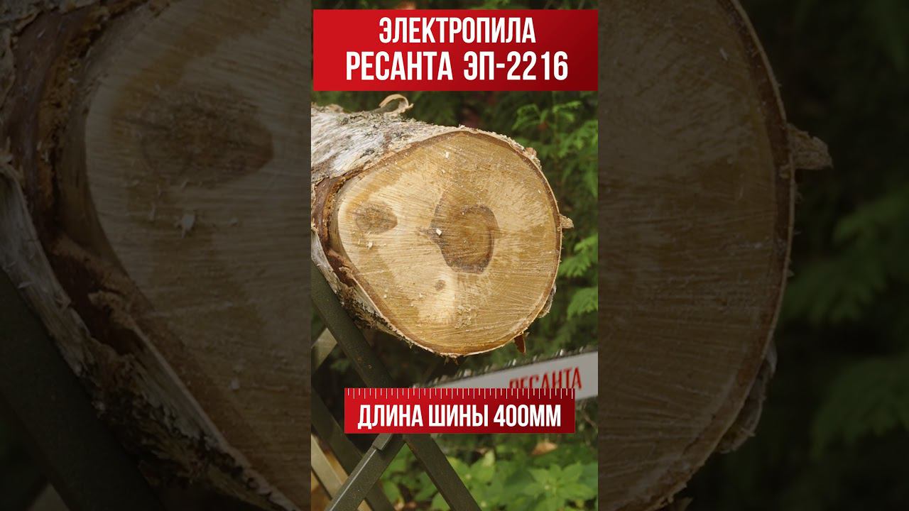 Элетропилы Ресанта с продольным расположением двигателя смотреть онлайн