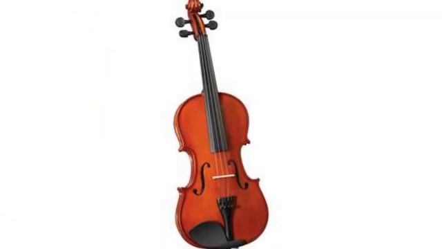 The Best Violin Brands For Beginners 🐊