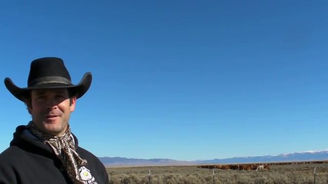 Clay Nannini Welcomes You to Mustang Monument in Wells, NV смотреть онлайн