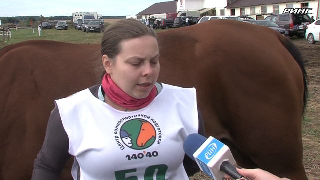 Чемпионат Подмосковья по конному спорту прошел на базе Центра конноспортивной подготовки «140*40» смотреть онлайн