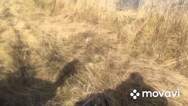 Коса роторная для Скаут Т-18 на трехточке смотреть онлайн