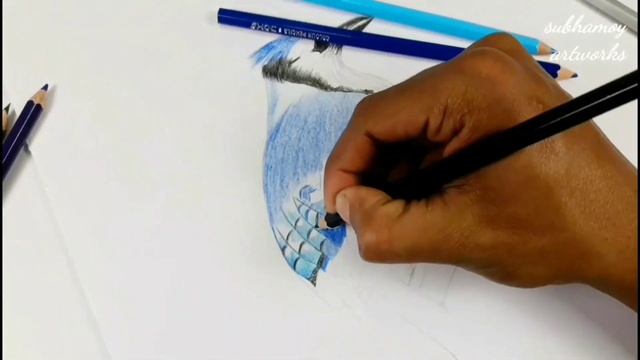 How to draw a bird(Blue Jay bird) with colour pencils/easy step by step drawing by S artworks смотреть онлайн