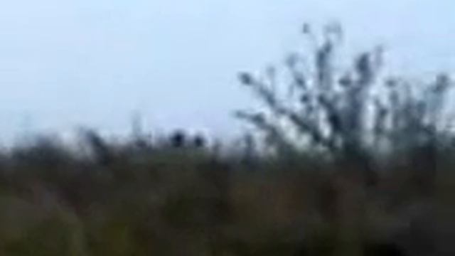 Снегоход 2 смотреть онлайн