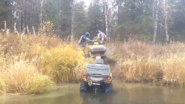 На Шишиме! смотреть онлайн