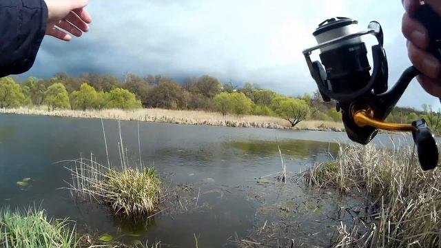 Карась на спиннинг / Неспортивная рыбалка смотреть онлайн