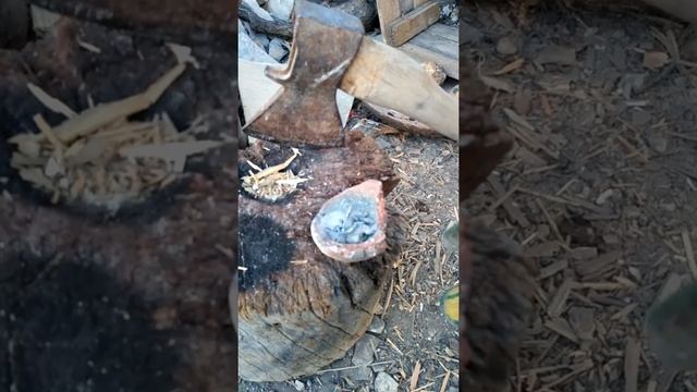 горн для плавки золота и серебра без электричества без поддува Египет смотреть онлайн