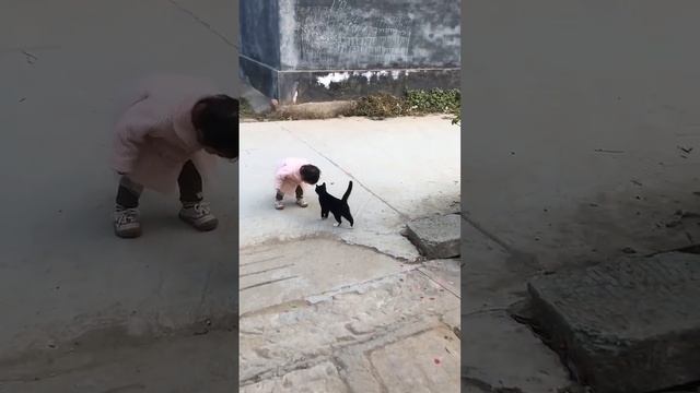 How Will The Cat React When The Cute Baby Lowers Her Head? | Pets Funny World смотреть онлайн