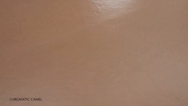 Chromatic Camel смотреть онлайн