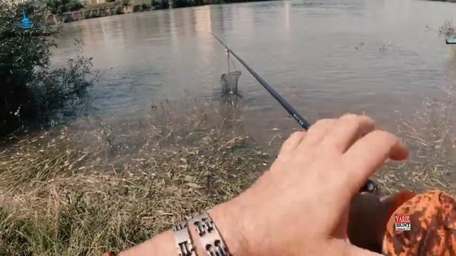 ?РЕКА КУБАНЬ-ОПАСНО ЗМЕИ✅РЫБАЛКА НА ПОПЛАВОК-ЗМЕЯ ВОРУЕТ РЫБУ смотреть онлайн