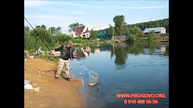 Платная рыбалка в Пирогово-Коргашино смотреть онлайн