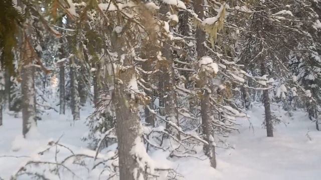 С отцом на охоту. Спасение бурана. смотреть онлайн