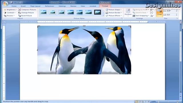 How to Crop Image / Picture in Word Document смотреть онлайн