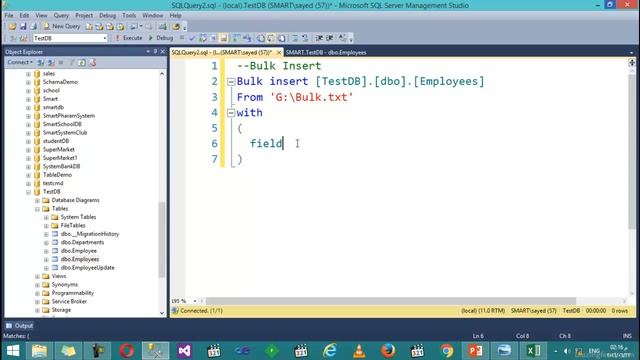 53- Export to Flat And Excel ( Bulk Insert ) смотреть онлайн