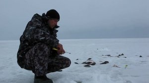 Рыбалка на Рыбинке: безнасадка, безмотылка, нимфа.