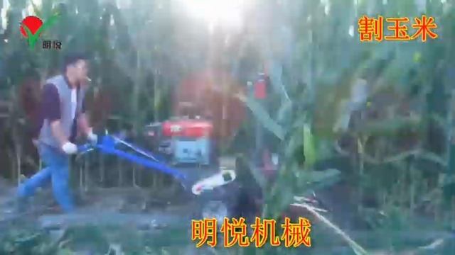 Yancheng Xinmingyue Machinery Manufacture Introduction Video +8618262494472 Tineylie