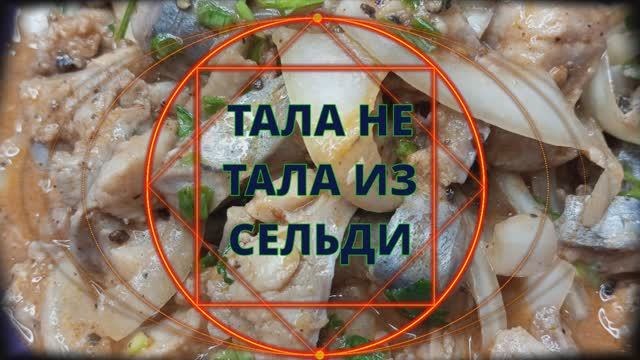 ТАЛА НЕ ТАЛА ИЗ СЕЛЬДИ смотреть онлайн