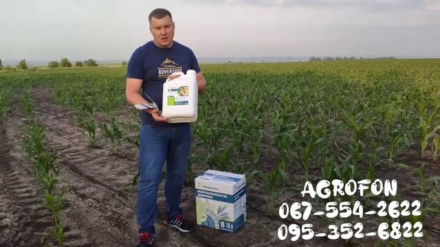 Удобрение для кукурузы ?Листовая подкормка кукурузы? смотреть онлайн