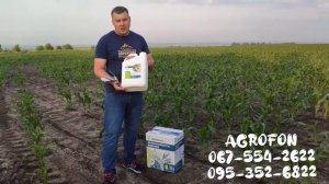 Удобрение для кукурузы ?Листовая подкормка кукурузы?