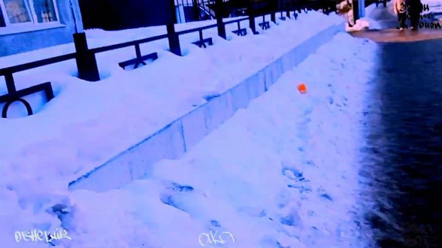 DIMA BORZ aka OTSHEL'NIK - ЗАКОН ЗНАЧИТ ЗА КОНОМ смотреть онлайн