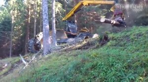 НЕРЕАЛЬНЫЕ современные машины для резки деревьев бензопилой, машины для валки деревьев