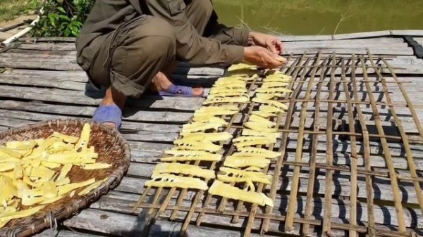 The 730-day process of building a garden into a fairyland, how things change after 2 years