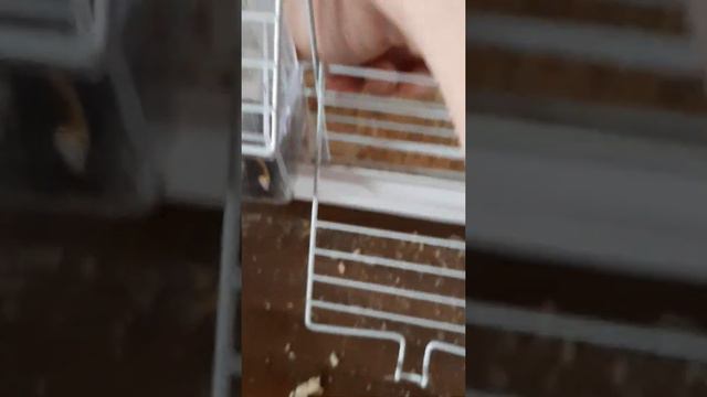 Видео было снято ещё в августе 2020года просто выложить забыла смотреть онлайн