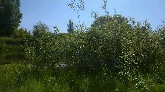 Ха-Тха Йога на природе смотреть онлайн