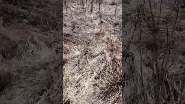 едем с сыном проверить новую Аську) смотреть онлайн