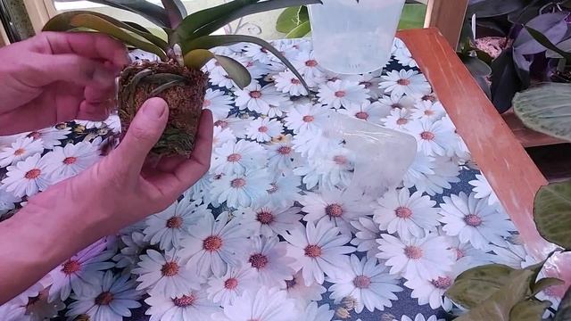 Предостерегаю. Прислушиваюсь к вашим замечаниям. Отвечаю на вопросы. смотреть онлайн