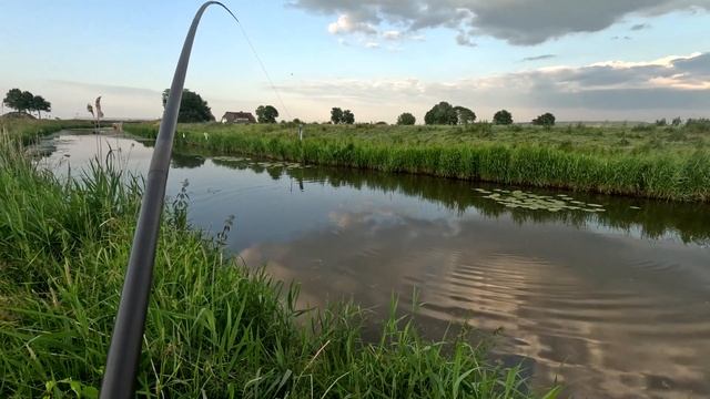 Щедрые дары реки. Рыбалка на поплавок. Со штекером на реке смотреть онлайн