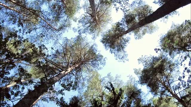 Карачарово смотреть онлайн