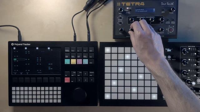 Polyend Tracker Sessions #1: "MLT - Kiwi" (feat. Medusa and Tetra) смотреть онлайн