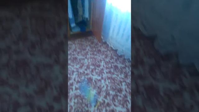 Ем ну-такое смотреть онлайн