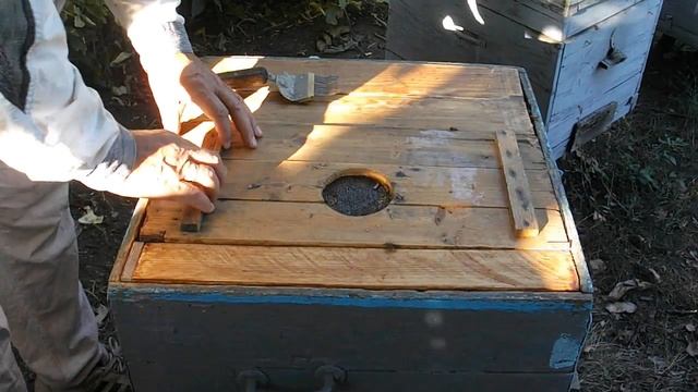 Как кормить пчел осенью в безвзяточный период? смотреть онлайн