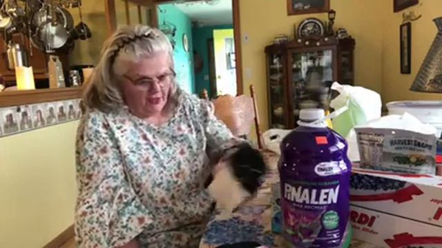 Maine Ride / Marden's Shopping Haul смотреть онлайн
