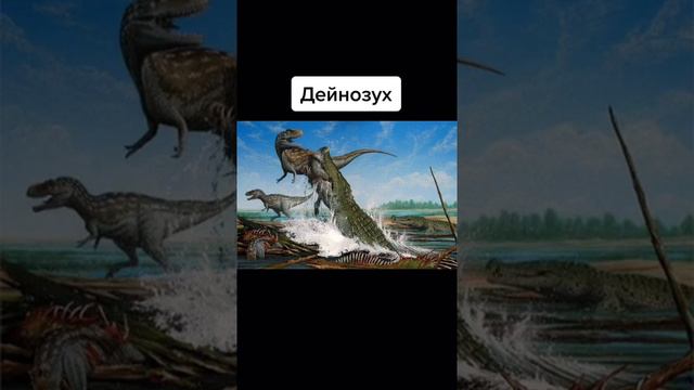 Спасибо за подписку ❤️#интересныефакты #животные #история #факты #гиганты #динозавры смотреть онлайн