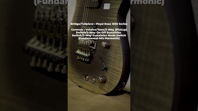 melengking banget 🔥‼️SCHECTER BANSHEE MACH 6 FRS смотреть онлайн