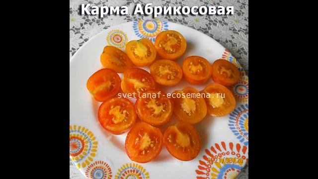 Видео-каталог сортовых томатов на сезон 2022 г. Часть 1. смотреть онлайн
