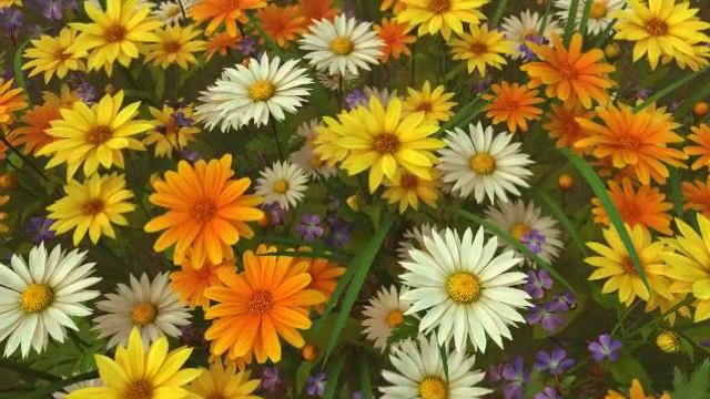 Wildflowers Screensaver - 3Planesoft