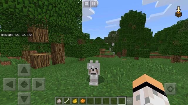 КАК одеть броню на ВОЛКА в Minecraft 1.2 (Pocket Edition, Xbox) смотреть онлайн