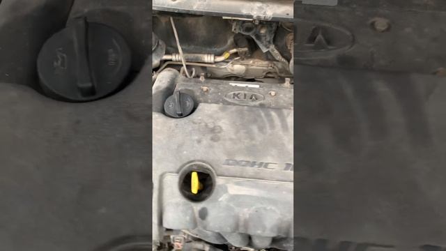 Работа двигателя Kia cerato 2 смотреть онлайн