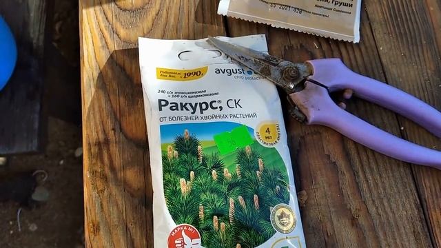 Подготовили растения к зиме на даче / Зимнее укрытие цветника и плодового сада/We cover the garden смотреть онлайн