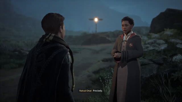 Hogwarts Legacy - Side Quests смотреть онлайн