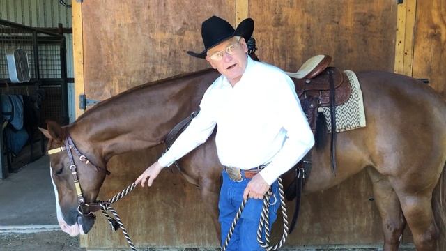 Learn Three Ways to Attach Your Mecate Lead to Your Saddle смотреть онлайн