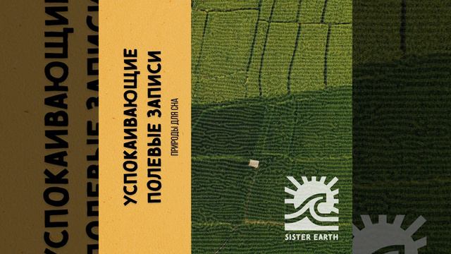 Лес на Берегу Реки смотреть онлайн