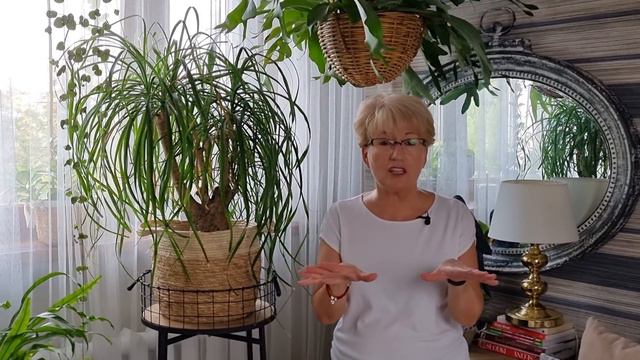 Nolina. Noga słonia. Stopa słonia. Jak dbać o nolinę.Niezwykła roślina ;-) смотреть онлайн