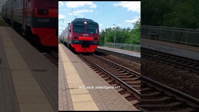 Типичная электричка в России #поезд #электричка #ржд #вокзал смотреть онлайн
