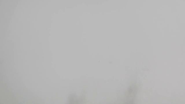 Crow hunting Кроухантинг. Отстрел вредителей. С 1 апреля, Карл! смотреть онлайн