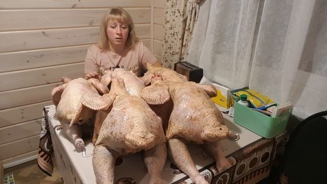 Подводим итог по выращиванию индейки? смотреть онлайн